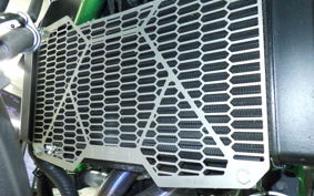 KAWASAKI Z650 A 2024 ER650S