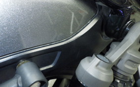 HONDA REBEL 1100 DCT 2024 SC83
