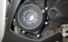 YAMAHA YZF-R25 2007 RG10J