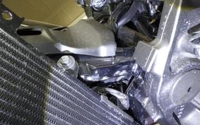 KAWASAKI Z900RS 2022 ZR900C