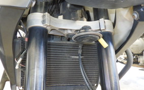 TRIUMPH TIGER1050(ショルイ