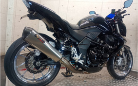 KAWASAKI Z1000 2009 ZRT00B