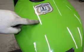 KAWASAKI KR250 2025 KR250A