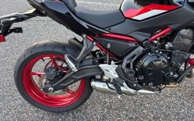 KAWASAKI Z650 2024 ER650S