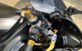 YAMAHA YZF-R1 2009 RN19