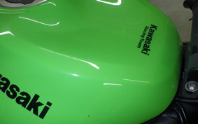 KAWASAKI NINJA ZX-6R A 2019 ZX636G