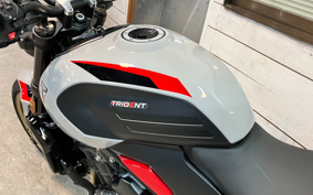 TRIUMPH TRIDENT 800 2026 L24P40