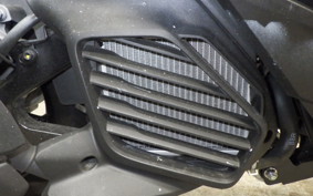 YAMAHA CYGNUSｸﾞﾘﾌｧｽ SEJ4J