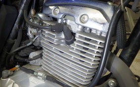 SUZUKI EN125 3F 2024