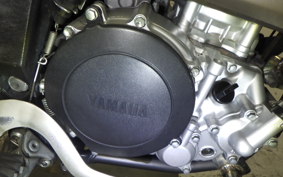 YAMAHA WR250X DG15J