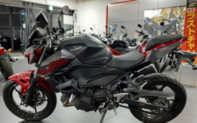 KAWASAKI Z250 EX250P
