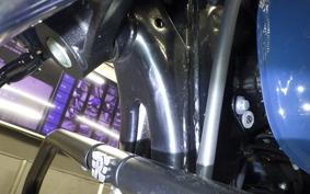 OTHER +ENFIELD ﾒﾃｵ350 2025