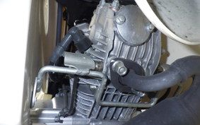 HONDA C110 SUPER CUB 2024 JA59