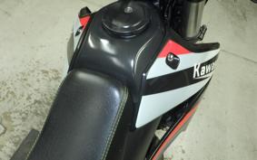 KAWASAKI KLX250 Gen.2 2010 LX250S