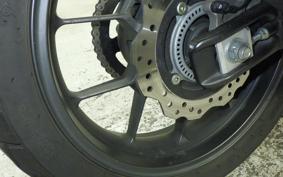 HONDA NX400 2024 NC65