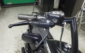 HARLEY XL883N 2019