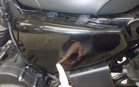 HARLEY XL1200NS 2019