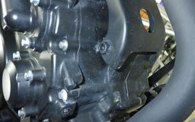 HONDA REBEL 250 A 2007 MC49