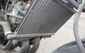 YAMAHA RZ250R 29L