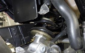 HONDA JADE 2024 MC23