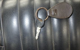 KAWASAKI Z1000 LIMITED 2025