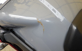 YAMAHA MT-09 Tracer GT 2019 RN51J