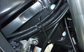 KAWASAKI KLX250 Gen.2 2010 LX250S