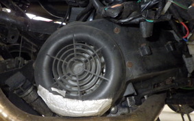 OTHER +UNREGISTERED MODEL by BDS TRIKE200