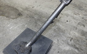 KAWASAKI KSR110 2025