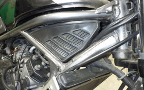 YAMAHA RZ250R 2009 29L