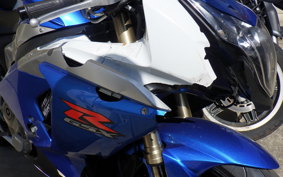 SUZUKI GSX-R1000 2009