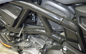 INDIAN FTR1200 2025