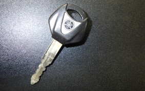 YAMAHA FZ1 FAZER 2008 RN21J