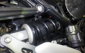 KAWASAKI Z900RS 2020 ZR900C