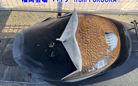 HONDA DIO