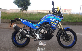 YAMAHA TENERE 700 2021 DM09J