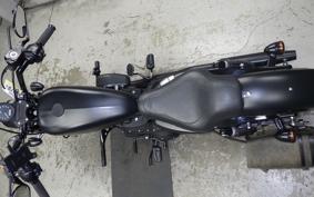 HARLEY XL883N 2019