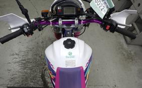 YAMAHA TT250R RAID 2009 4GY