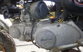 HONDA MONKEY 1999 Z50J