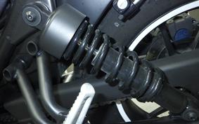 HONDA REBEL 250 2024 MC49