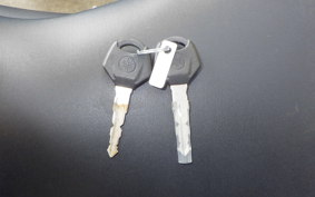 YAMAHA MT-25 A 2017 RG74J