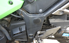 KAWASAKI NINJA 250