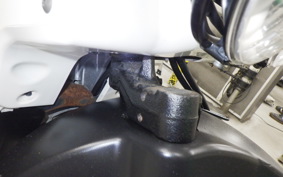 HONDA ZOOMER 2022 AF58