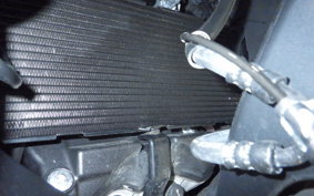 HONDA X-ADV 750 2025 RH21