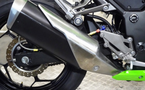 KAWASAKI NINJA 250 EX250L
