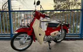 HONDA SUPER CUB110 JA44