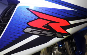 SUZUKI GSX-R600 2011