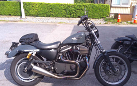 HARLEY HARLEY XL883R 2009 CS2