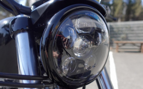 HARLEY XL1200C 2007 CT3