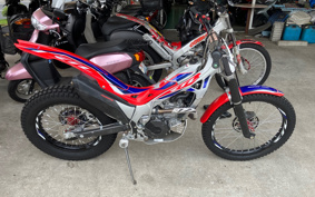 HONDA RTL300R RTL300RF